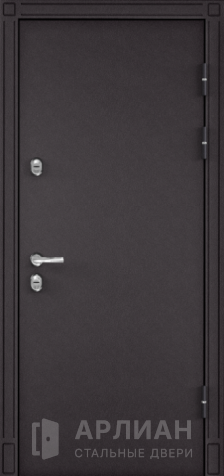 Фото « Входная дверь для загородного строительства №3»